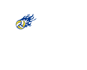 client-best-volleyball-shoes-site-lgoo