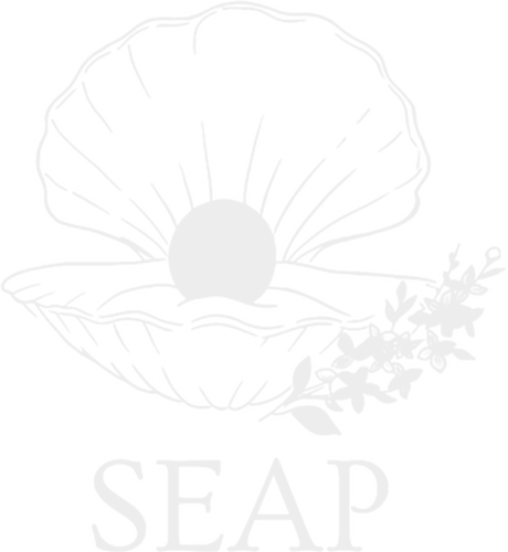 client--Seap-Modesty-by-Areesha